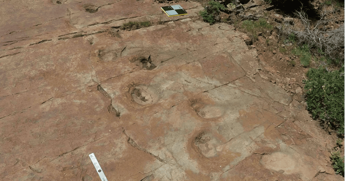 Стежка зі слідами динозавра