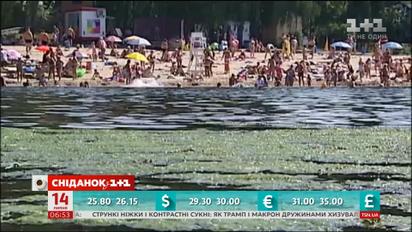 У Києві на річці Дніпро почала цвісти вода