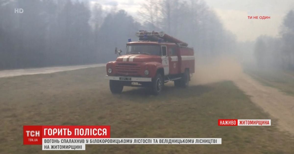 В Житомирской области в шести районах возникли пожары: люди боятся, что огонь дойдет до домов