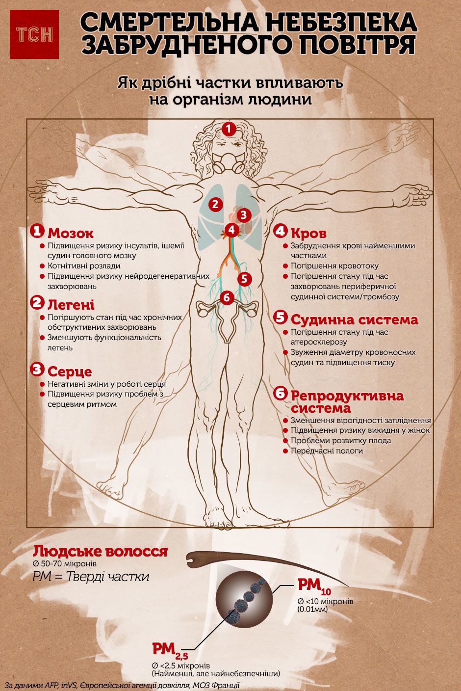 Как на организм человека влияет загрязненный воздух. Инфографика — Наука и  IT