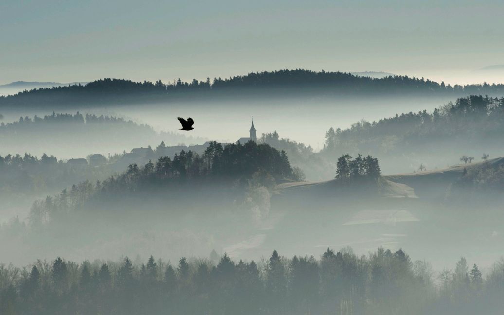 Птах летить над туманною місцевістю у Злебе, Словенія. / © Reuters