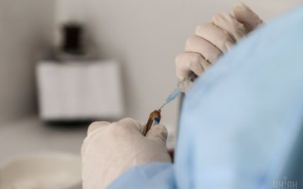 В Конотопе ищут вакцину против бешенства, чтобы спасти ребенка после нападения лисы