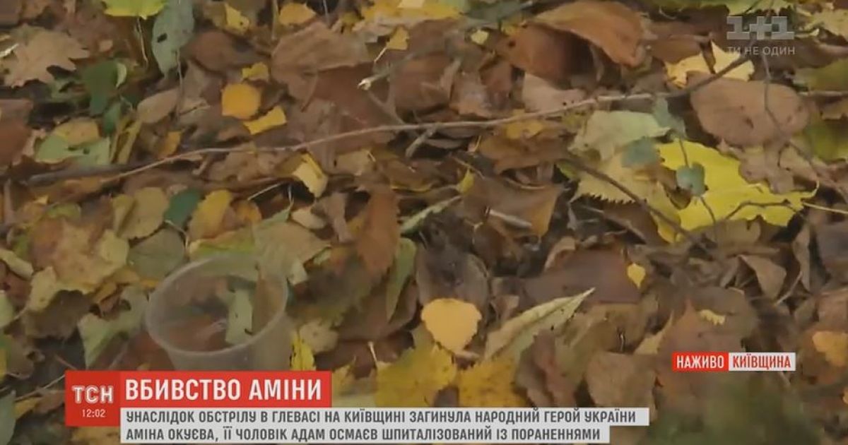 Журналісти після оперативників знайшли гільзи на місці розстрілу Окуєвої