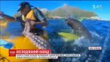 Тюлень ударил туриста из Новой Зеландии осьминогом по лицу
