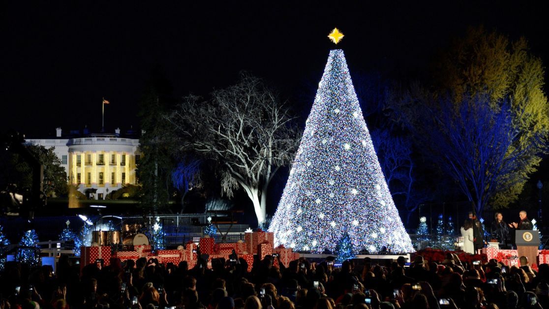 Самые красивые рождественские елки из разных стран Европы