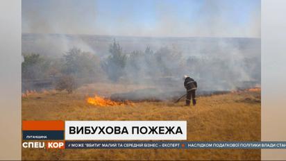 Пожежник у Луганській області отримав мінно-вибухову травму, коли гасив займання сухої трави