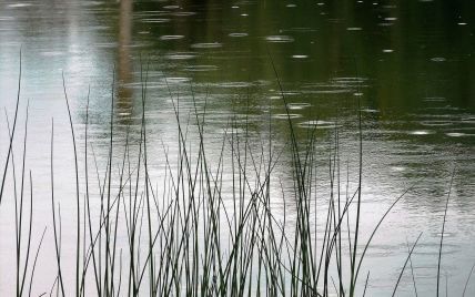 Нетрезвая бабушка случайно утопила 9-летнего внука в озере