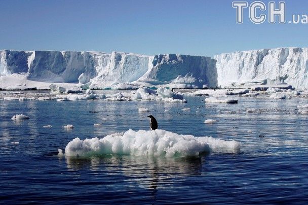  / © Reuters