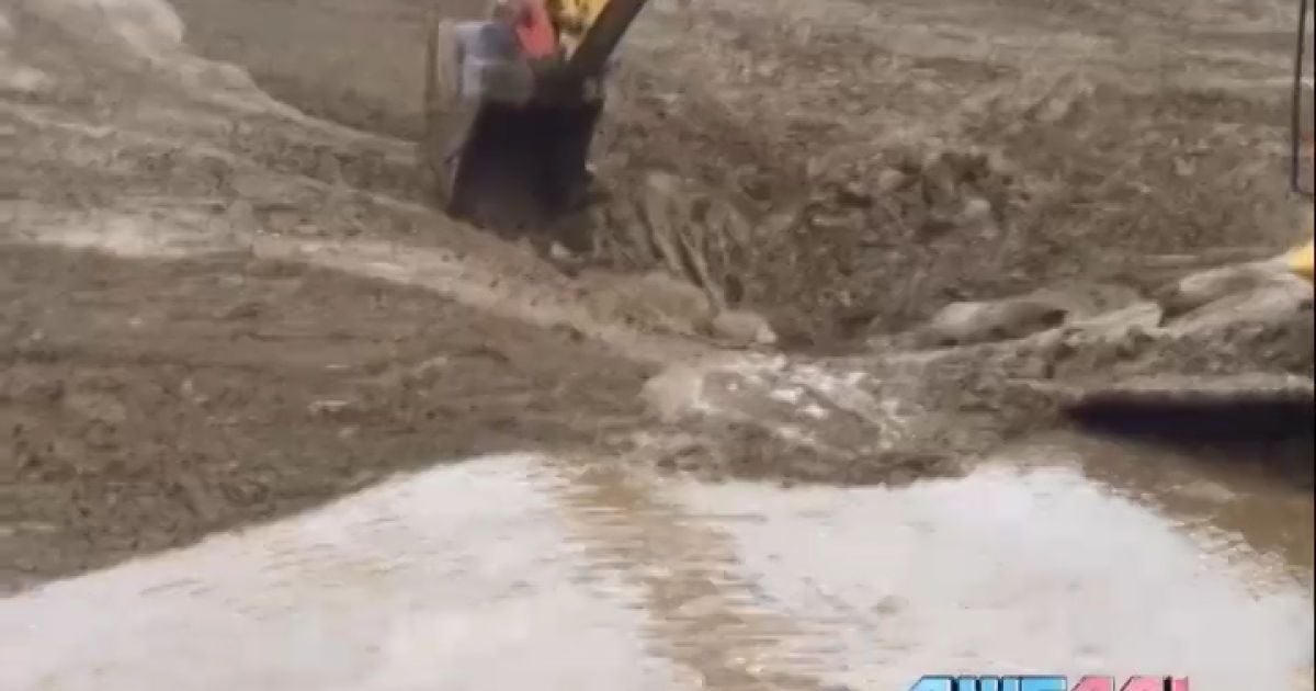 Thumbnail for "10_bembi"