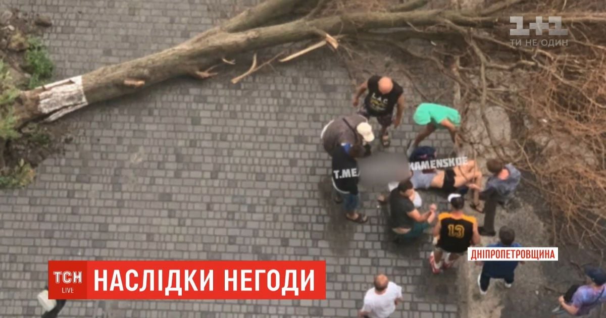 Обесточенные села и вырванные деревья: в разных уголках Украины преодолевают последствия непогоды
