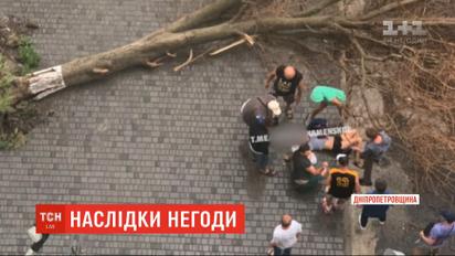 Обесточенные села и вырванные деревья: в разных уголках Украины преодолевают последствия непогоды