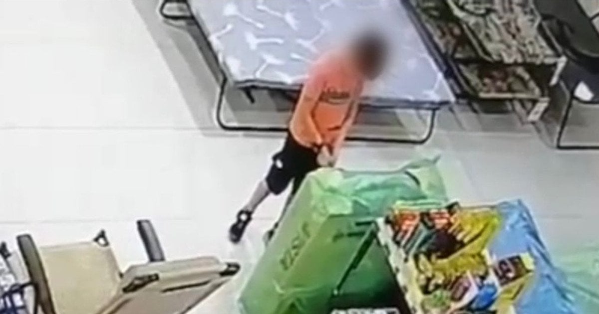 Малий палій