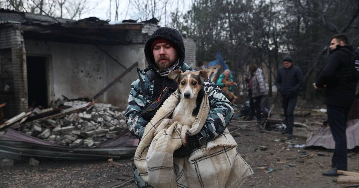 Росіяни вдарили по притулку