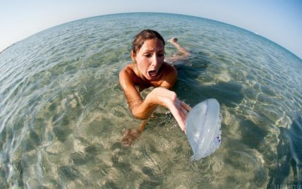 В Днепре появились медузы: чем обусловлено появление животных и почему они опасны для реки