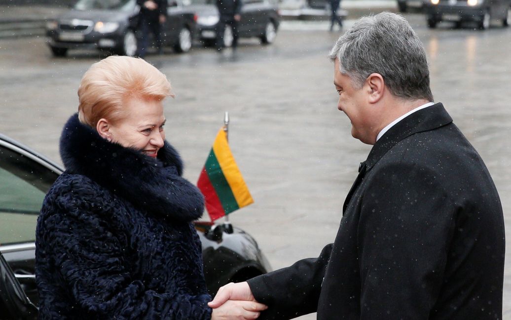 Зустріч Порошенка і Грибаускайте / © Reuters