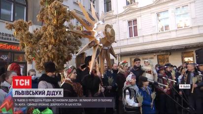 Во Львове в канун Рождества установили соломенного дидуха