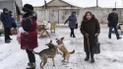 Социологи сообщили, как долго украинцы готовы ждать положительных перемен после избрания президента