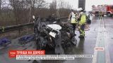 У Німеччині в аварії загинули троє людей і 180 свиней