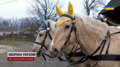 Чим задобрити коня, щоб рік пройшов успішно?! Відповідь астрологів вражає!