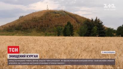 Раскопанный курган: "черные археологи" нанесли более 150 миллионов гривен убытков