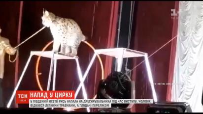 У Південній Осетії рись накинулась на дресирувальника під час виступу у цирку