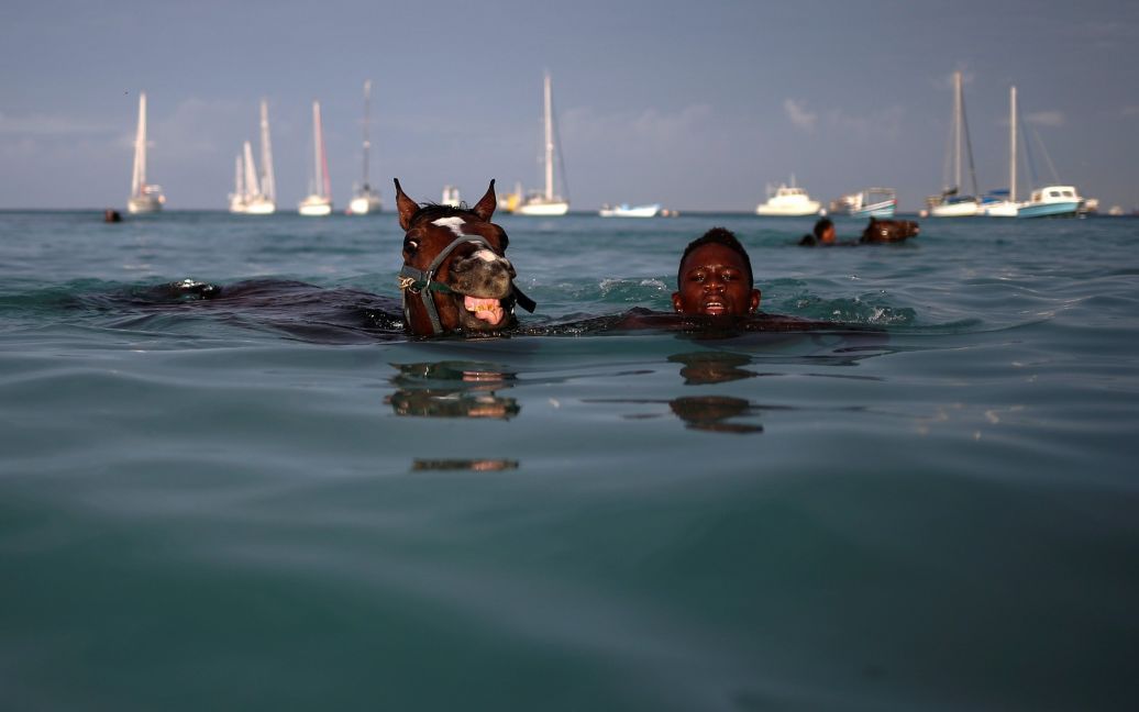 Чоловік плаває зі своїм конем в океані у Бриджтауні, Барбадос. / © Reuters