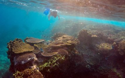 Ученые нашли в Индийском океане мертвую зону