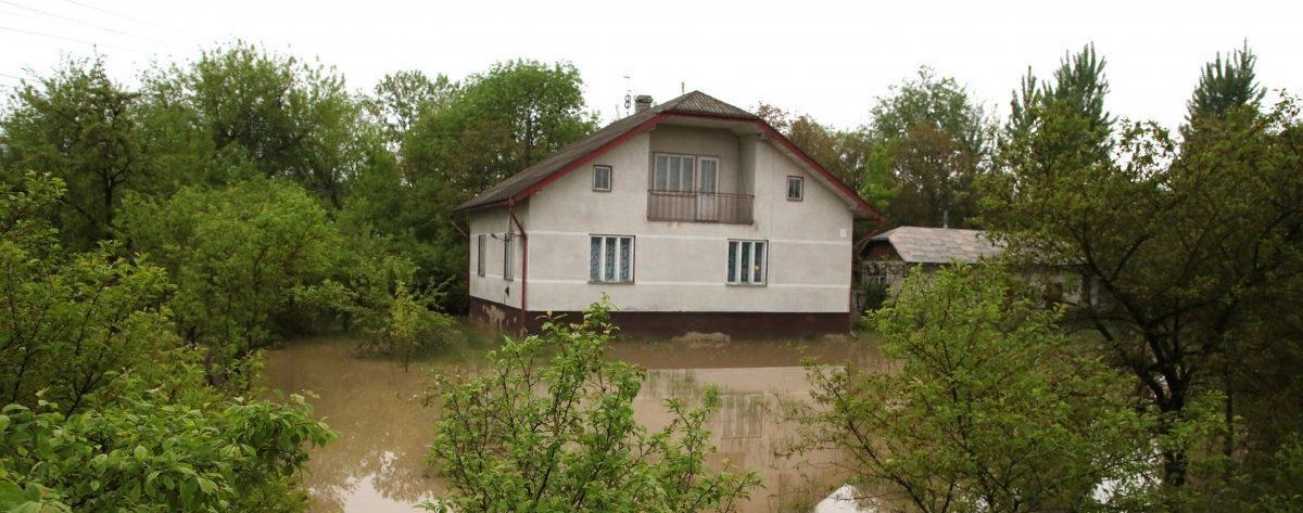 Поваленные деревья, подтопленные дома и обесточены населенные пункты: в Украину пришел циклон