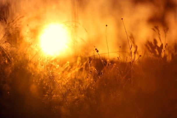Народні прикмети 6 липня / © pexels.com