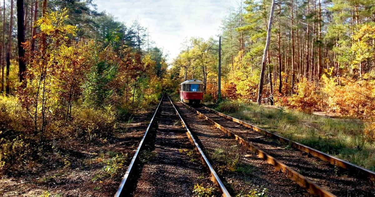 У Києві в’їзд до Пущі Водиці обмежили на невизначений час: що сталося