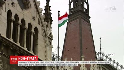 Консула Венгрии в городе Берегово объявили персоной нон грата в Украине