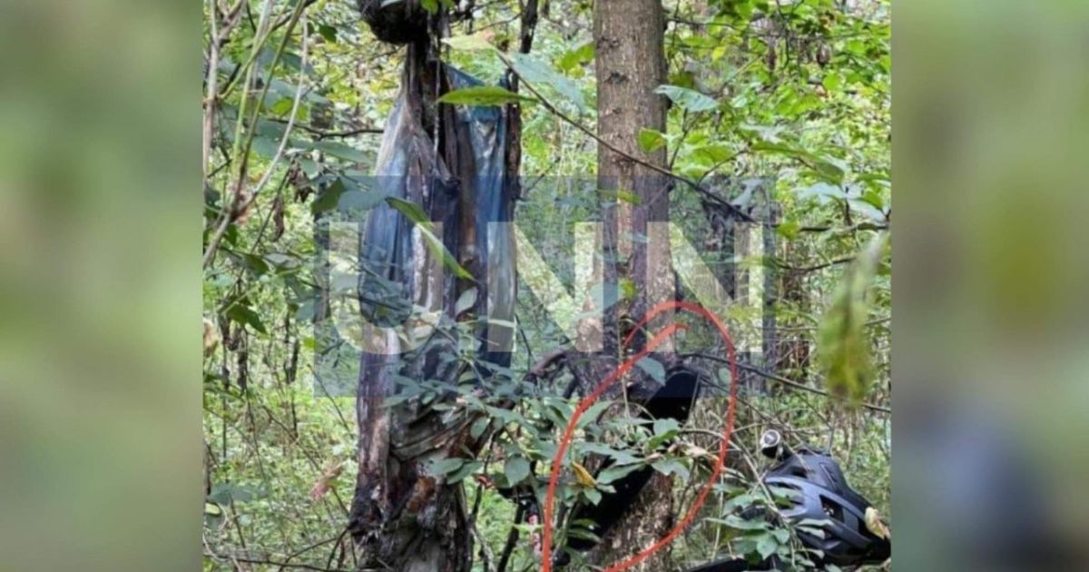 Под Киевом в лесу вблизи места покушения на Шефира нашли труп: фото