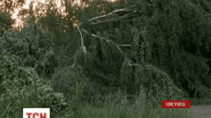 Центром Гамбурга пронесся торнадо