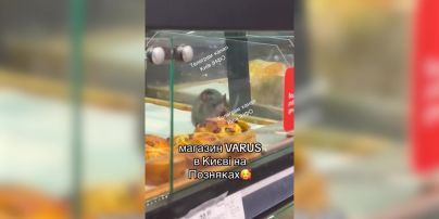 Величезний пацюк їв булочку у супермаркеті Києва