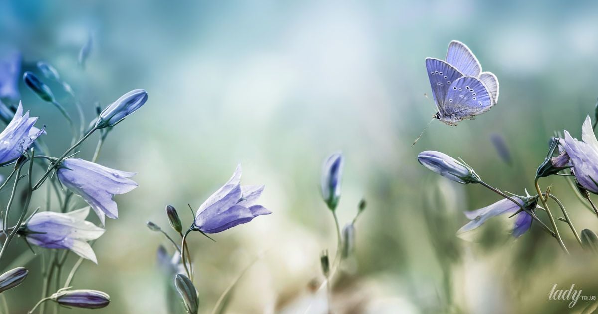 Гороскоп на 18 мая для всех знаков Зодиака: день осмысления своих поступков