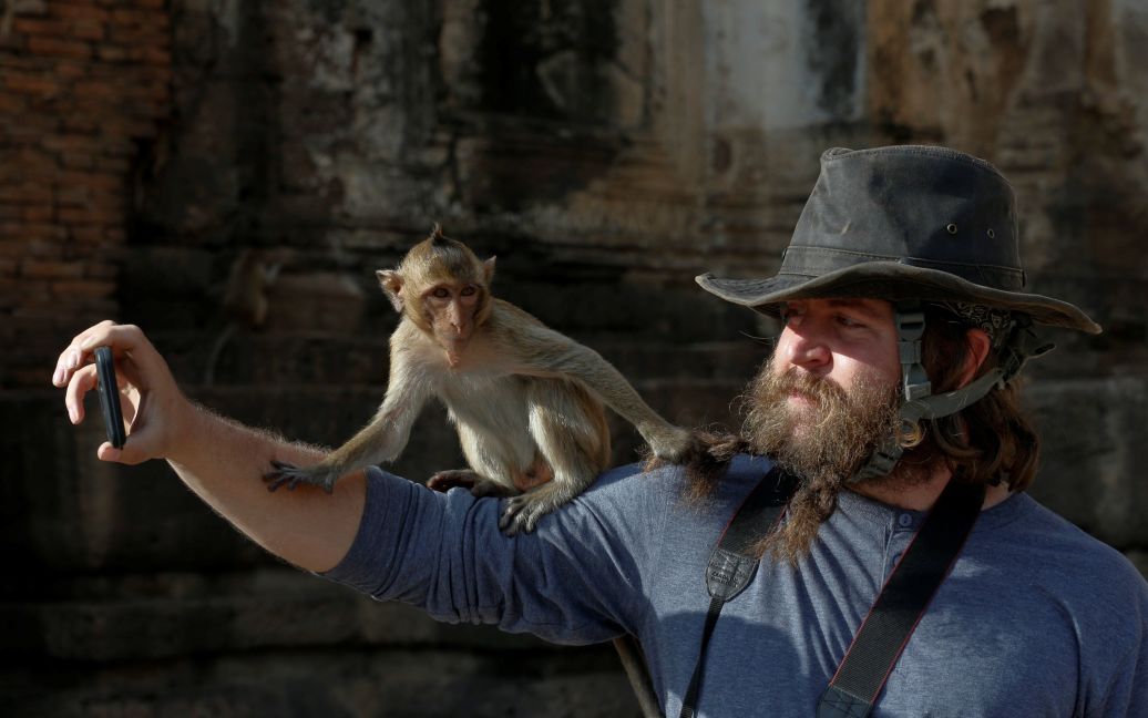 Так у Таїланді дякують тваринам за приваблення туристів / © Reuters