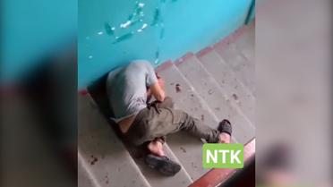 В Харькове пес покусал мужчину