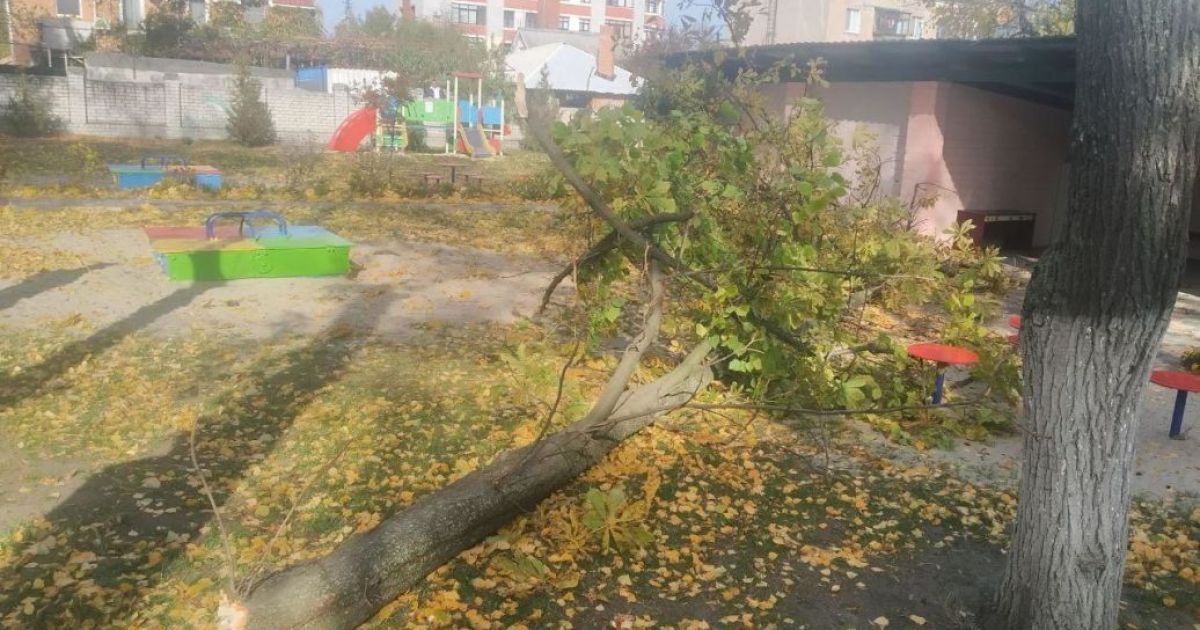 У Полтавській області померла дівчинка, на яку впало дерево у дитсадку