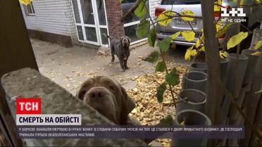 Новости Украины: в Харькове нашли мертвой 81-летнюю женщину со следами собачьих укусов на теле
