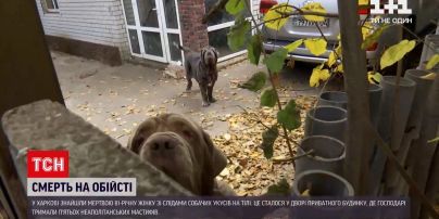 Новости Украины: в Харькове нашли мертвой 81-летнюю женщину со следами собачьих укусов на теле