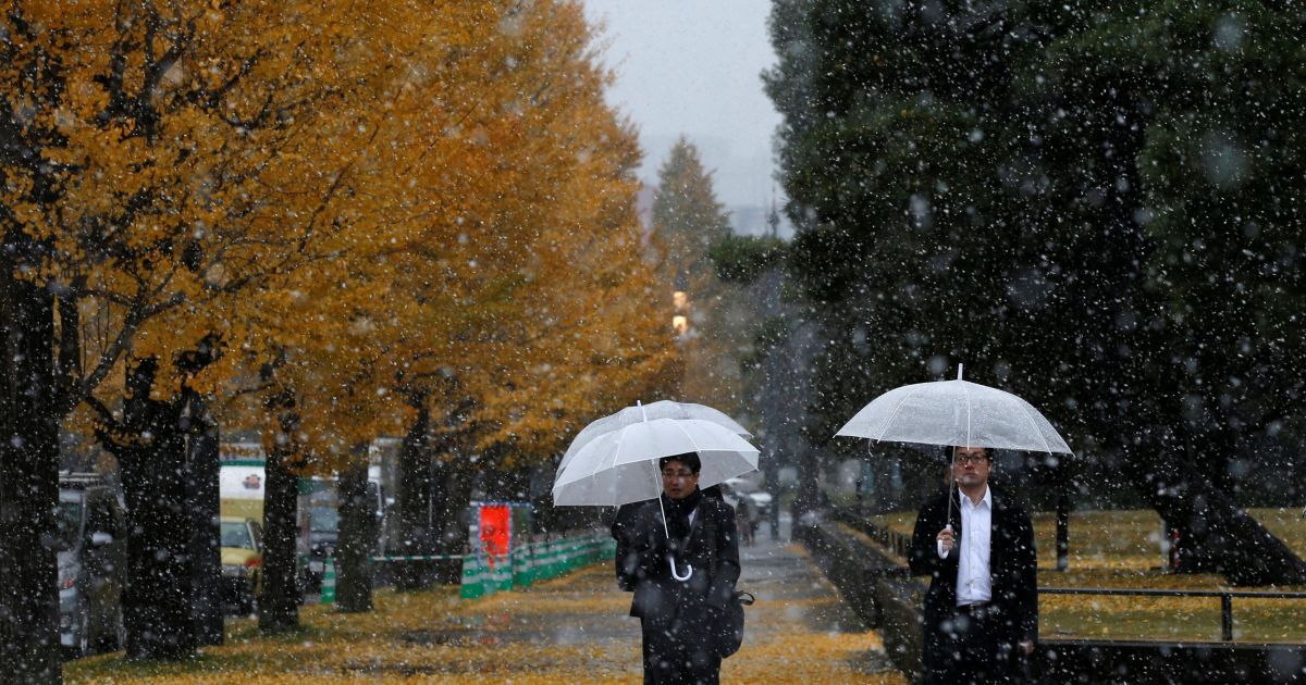 сніг у токіо_7 / © Reuters
