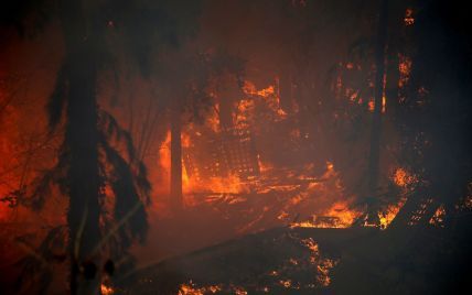 МЗС України повідомило про центри прийому евакуйованих унаслідок пожежі в Хайфі