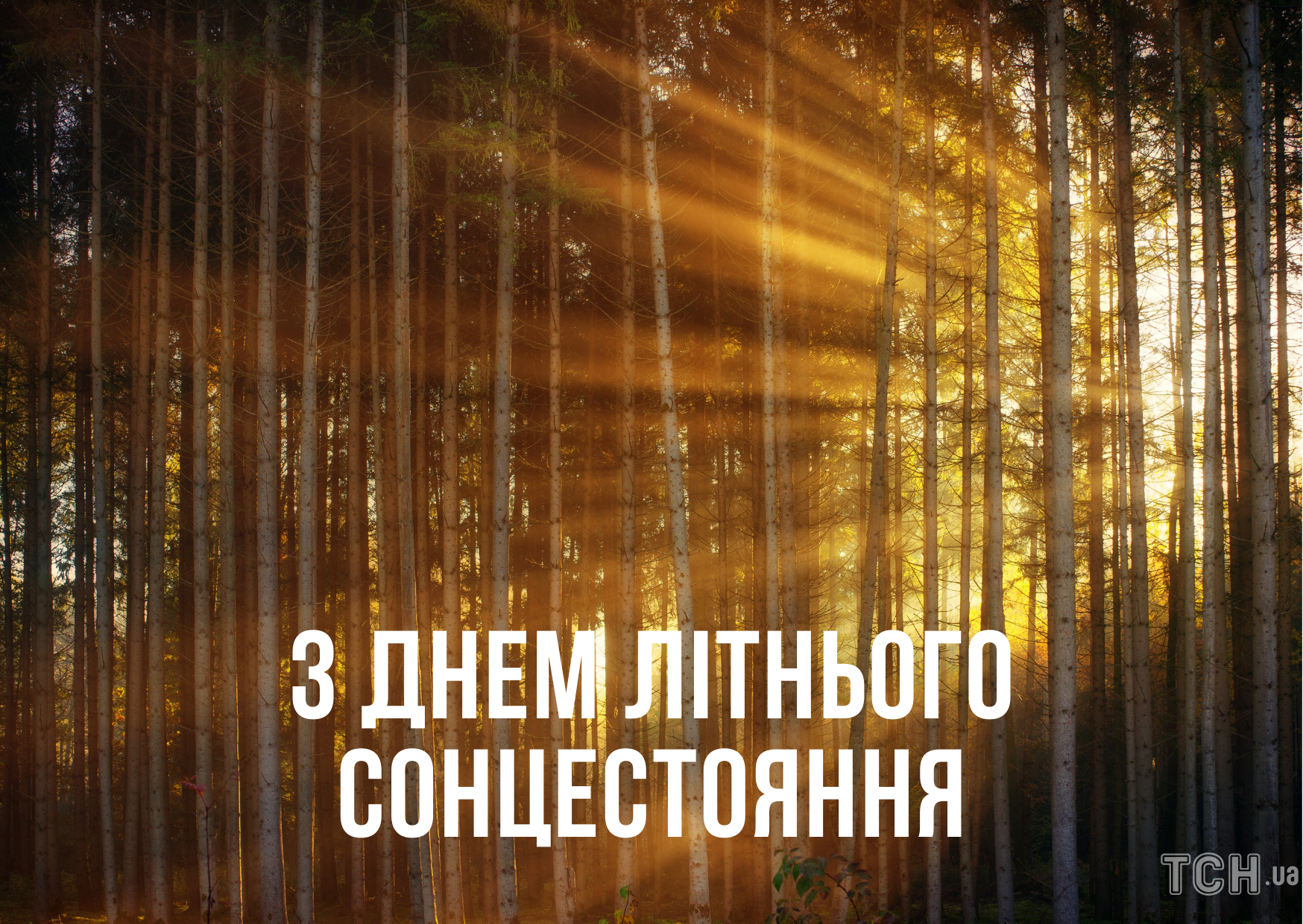 Открытки - День летнего солнцестояния