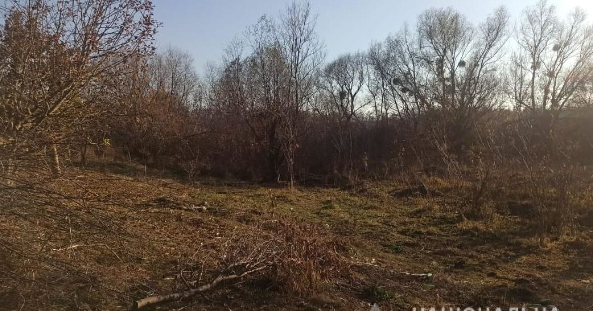 Эта болотная местность очень популярна среди местных охотников. Фото: vn.npu.gov.ua