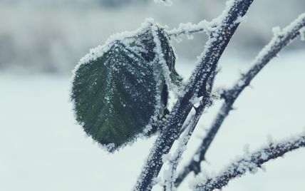 До України на Різдво йдуть морози та сніг: синоптикиня розповіла, коли температура почне падати