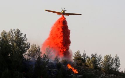 Израильскую Хайфу охватил масштабный лесной пожар, несколько районов города эвакуированы