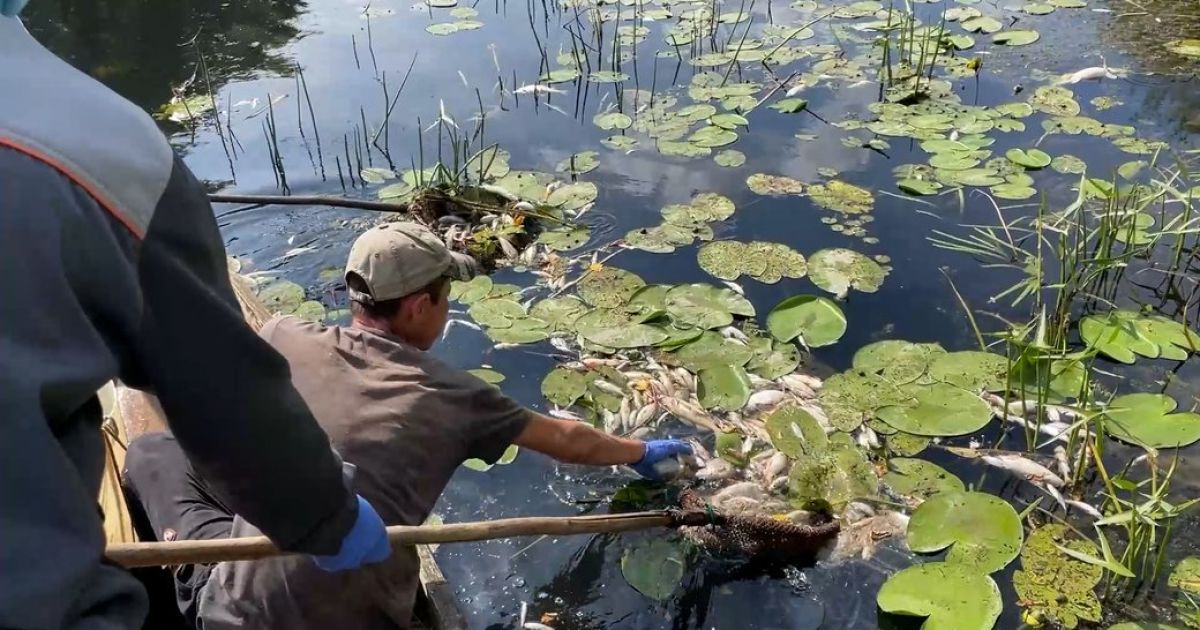 Місцеві очищують забруднені росіянами річки