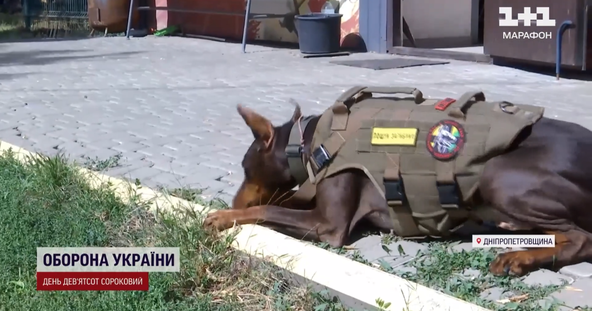Ханна