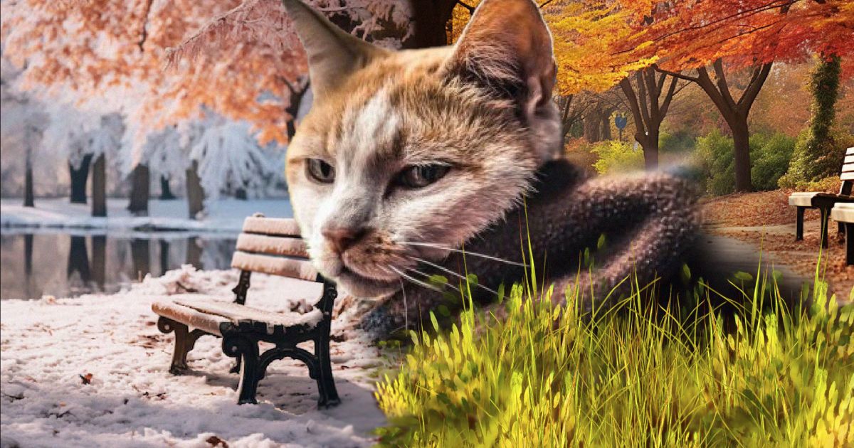 Зміни погоди