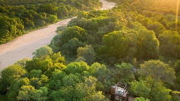 Ngala Private Game Reserve / © designboom.com